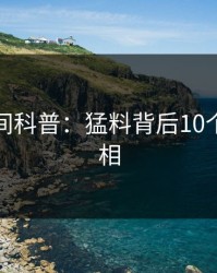 秘语空间科普：猛料背后10个惊人真相
