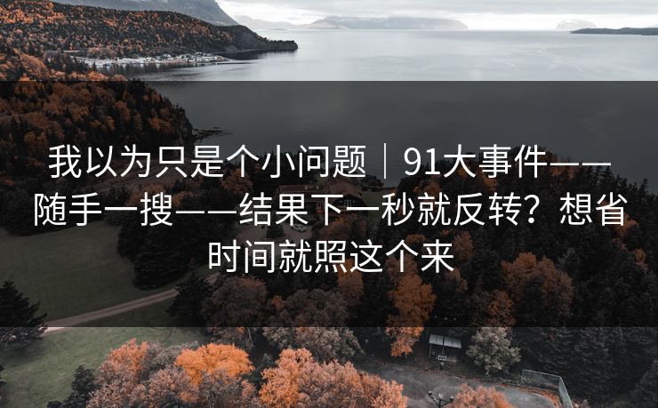 我以为只是个小问题｜91大事件——随手一搜——结果下一秒就反转？想省时间就照这个来