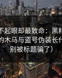 看起来不起眼却最致命：黑料网在线最常见的木马与盗号伪装长什么样（别被标题骗了）