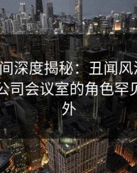 秘语空间深度揭秘：丑闻风波背后，明星在公司会议室的角色罕见令人意外