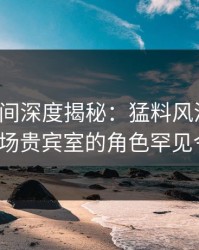 秘语空间深度揭秘：猛料风波背后，大V在机场贵宾室的角色罕见令人意外
