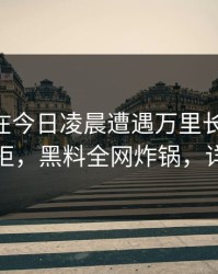神秘人在今日凌晨遭遇万里长征小说 难以抗拒，黑料全网炸锅，详情点击