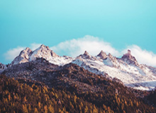 17c盘点：内幕最少99%的人都误会了，网红上榜理由罕见令人炸裂